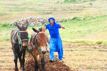 Randonnée Vallée des Ait Bouguemez Maroc