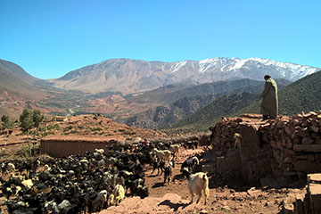 Excursion vallée zat au départ de Marrakech