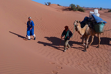 randonnée dunes et vallée du draa maroc